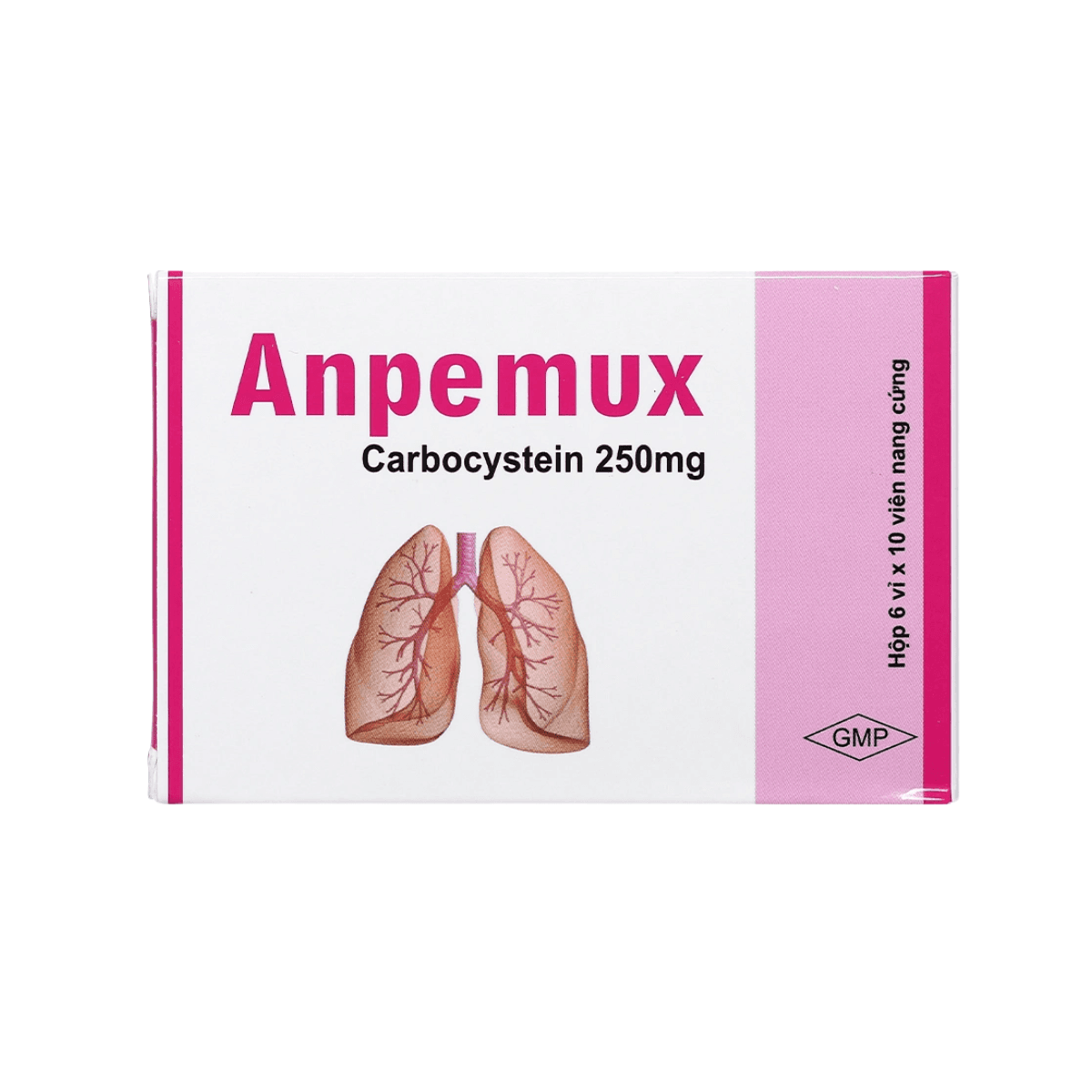 Anpemux (Hộp 6 vỉ x 10 viên)